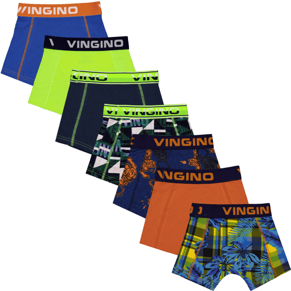 Vingino: Underwear 2-pack shorts - Dark Blue