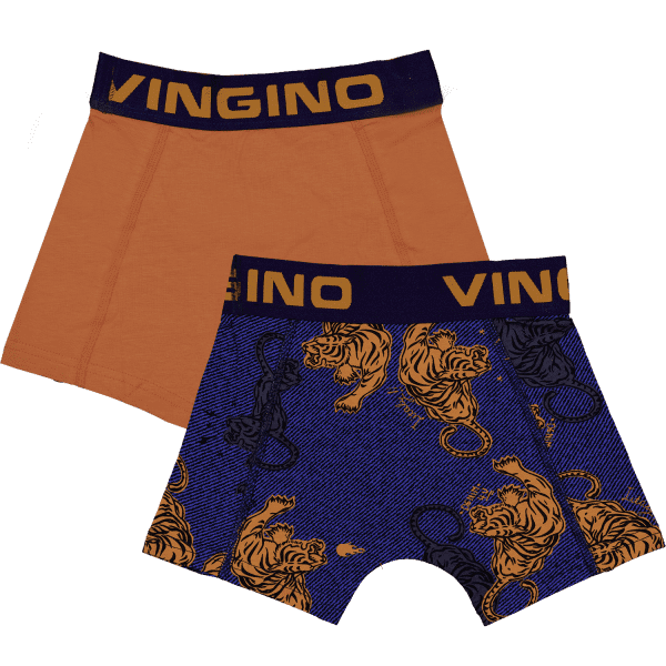 Vingino: Underwear 2-pack shorts - Dark Blue