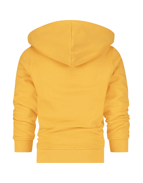 Raizzed: Hoodie Norwich - mustard yellow